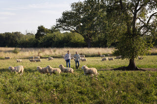 Mutton
