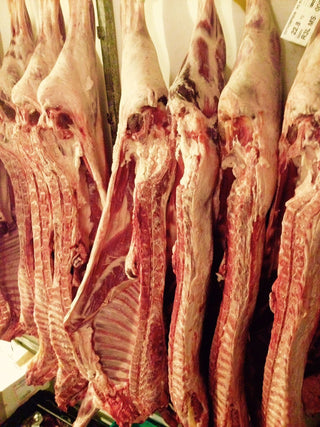 Hogget