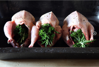 Quail for a festive feast