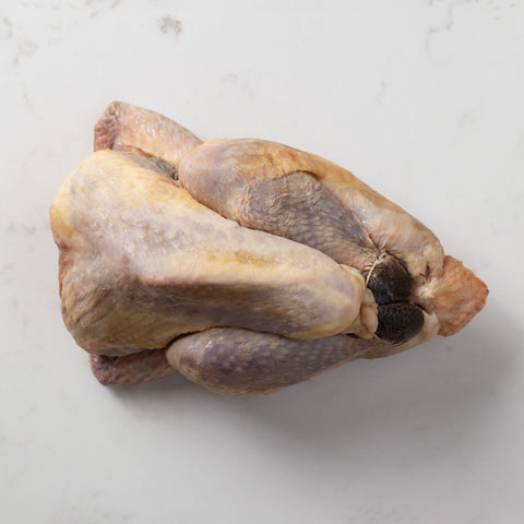 Guinea Fowl