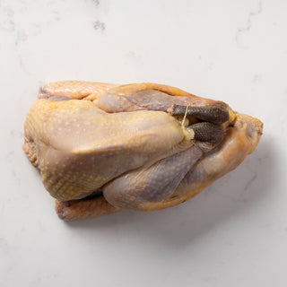 Guinea Fowl
