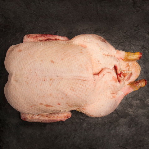 Free Range Duck