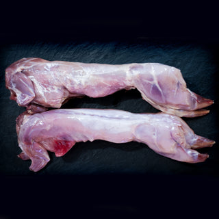 Wild Suffolk Rabbit